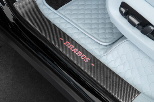 Carbon scuff plates
